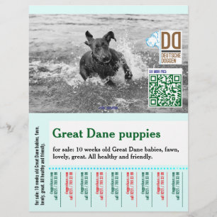 Kleurrijke afscheur hond flyer