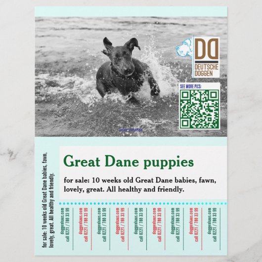 Kleurrijke afscheur hond flyer (Voorkant)