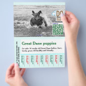 Kleurrijke afscheur hond flyer (Hand)
