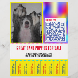 Kleurrijke afscheur puppy verkoop flyer