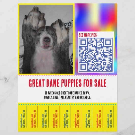 Kleurrijke afscheur puppy verkoop flyer  (Voorkant)