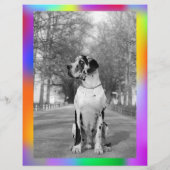 Kleurrijke afscheur puppy verkoop flyer  (Achterkant)