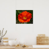 Kleurrijke Alaskaanse Rode Klaproos Bloem Poster (Keuken)