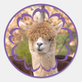 Kleurrijke Alpaca Verjaardag Stickers