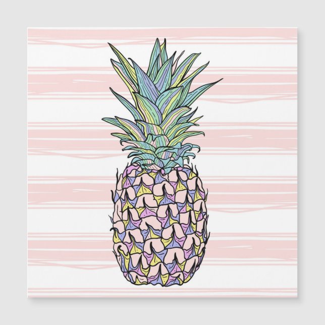 Kleurrijke  ananas illustratie. (Voorkant)