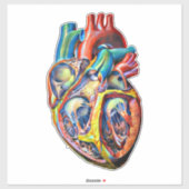 kleurrijke anatomie van het menselijk hart abstrac sticker (Vel)