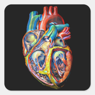 kleurrijke anatomie van het menselijk hart abstrac vierkante sticker