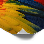 Kleurrijke ara poster (Hoek)