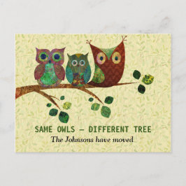 Kleurrijke artistieke uilen Nieuw adres Aankondigingskaart