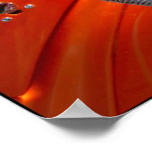 Kleurrijke auto's08 Grote Prints (Hoek)