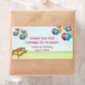 Kleurrijke ballonnen buiten picknick partij gunsti etiket (Insitu)