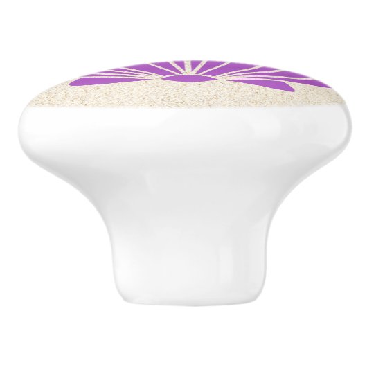 Kleurrijke Beach Shell Scallop Lade Knoppen (Zijkant)