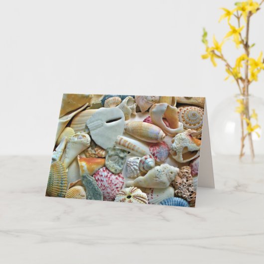 Kleurrijke Beach Shells Blank Note Kaart (Gele Bloem)