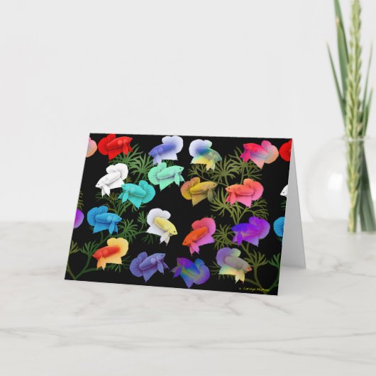 Kleurrijke Betta Aquarium Fish Wenskaart Kaart (Voorkant)