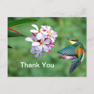 Kleurrijke Bijeneter Bloemrijke Foto Bedankt Briefkaart