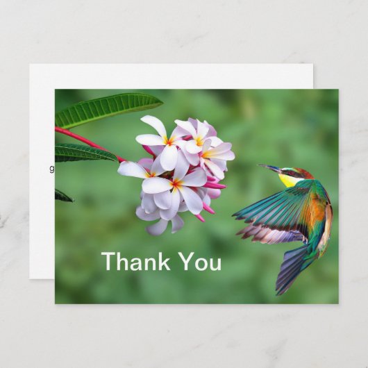 Kleurrijke Bijeneter Bloemrijke Foto Bedankt Briefkaart (Voorkant / Achterkant)