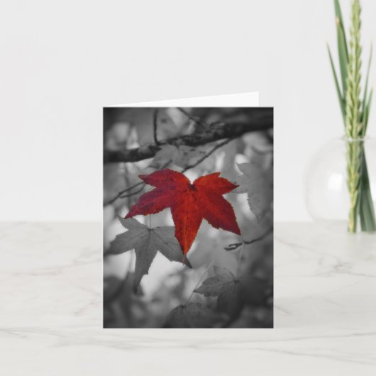 Kleurrijke blad-Lege Kaart (Voorkant)