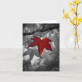 Kleurrijke blad-Lege Kaart (Gele Bloem)