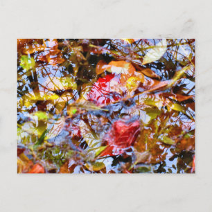 Kleurrijke blad vormen boomreflecties in water briefkaart