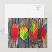 Kleurrijke bladeren briefkaart (Voorkant / Achterkant)