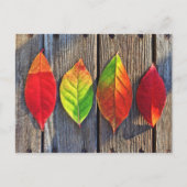 Kleurrijke bladeren briefkaart (Voorkant)