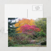 Kleurrijke bladeren briefkaart (Voorkant / Achterkant)