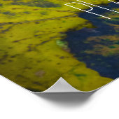 Kleurrijke bladeren na regen poster (Hoek)