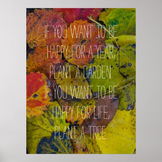 Kleurrijke bladeren na regen poster (Voorkant)