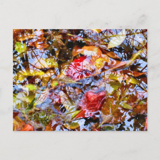 Kleurrijke bladeren vormen de boom reflecteert in  briefkaart (Voorkant)