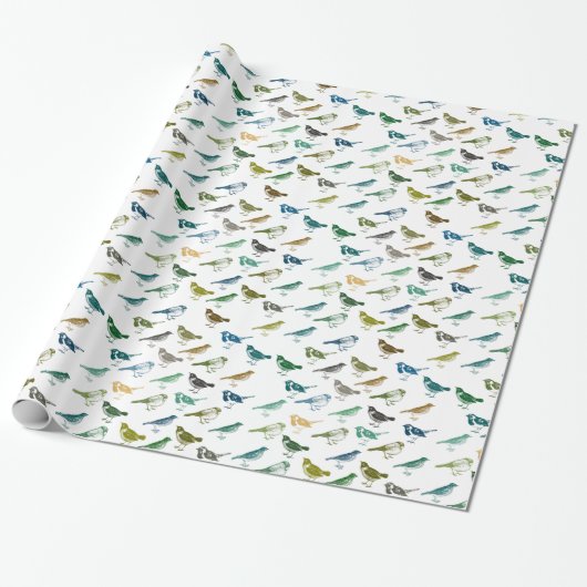 Kleurrijke Blauw Groene Bruine Vogels Verjaardag Cadeaupapier (Uitgerold)