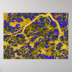Kleurrijke blauwe en gele bomen poster