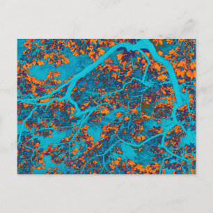 Kleurrijke blauwe en oranje bomen briefkaart