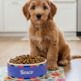 Kleurrijke Blauwe Retro Geometrische Keramische Pe Voerbakje