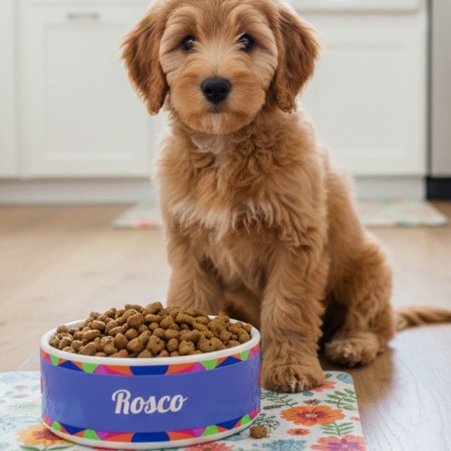 Kleurrijke Blauwe Retro Geometrische Keramische Pe Voerbakje (Every dog deserves a personalized food bowl. Welcome your new pet with one of their own.)