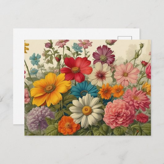 Kleurrijke  bloeiende tuinbloemen briefkaart (Voorkant / Achterkant)