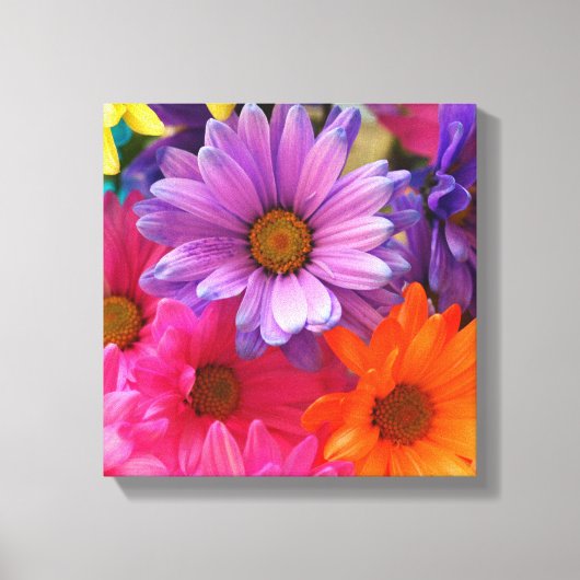 Kleurrijke Bloem Daisies Canvas Single Afdruk (Voorkant)
