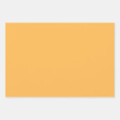 Kleurrijke bloemblaadjes Waterverf Patroon Schilde Inpakpapier Vel (Voorkant 2)