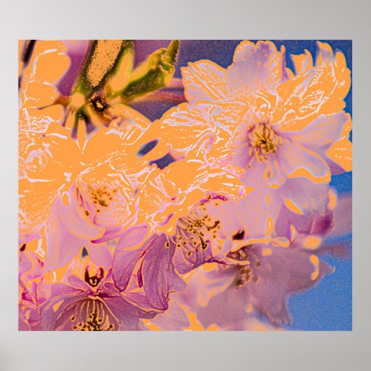 Kleurrijke bloemen afdrukken poster (Voorkant)