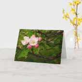 [Kleurrijke bloemen] Appelbloesem - elke gelegenhe Kaart (Gele Bloem)