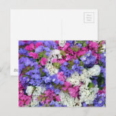 Kleurrijke bloemen briefkaart (Voorkant / Achterkant)