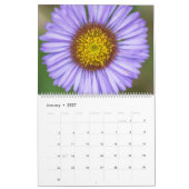 Kleurrijke Bloemen Kalender (Jan 2027)