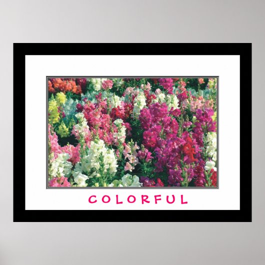 Kleurrijke Bloemen Poster (Voorkant)