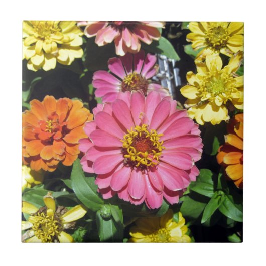 Kleurrijke Bloemen Tegeltje (Voorkant)