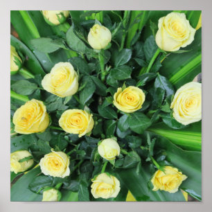 kleurrijke+ bloemen,    tuin+ kabouter, poster