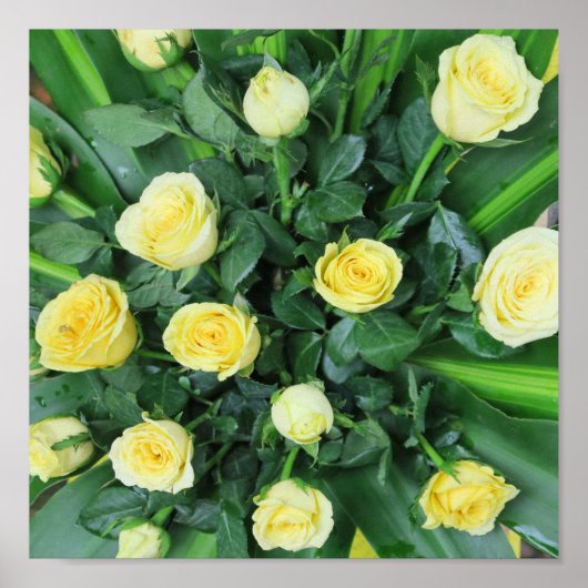 kleurrijke+ bloemen,    tuin+ kabouter, poster (Voorkant)
