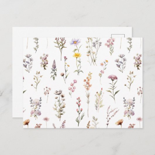 Kleurrijke bloemen, wilde bloemen, tuin bloemen briefkaart (Voorkant / Achterkant)