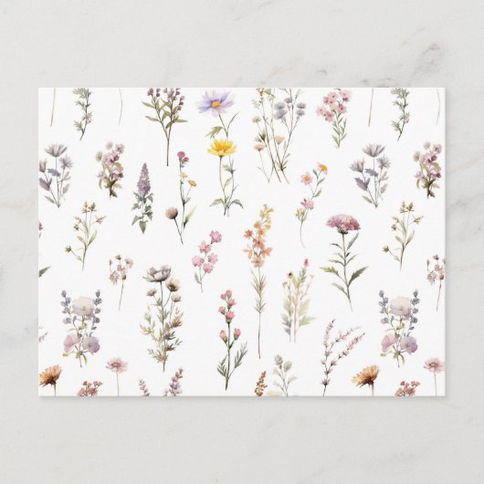 Kleurrijke bloemen, wilde bloemen, tuin bloemen briefkaart (Voorkant)