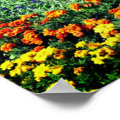 Kleurrijke bloemtuin in de zomer poster (Hoek)