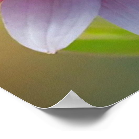 Kleurrijke Bokeh Flower Poster (Hoek)