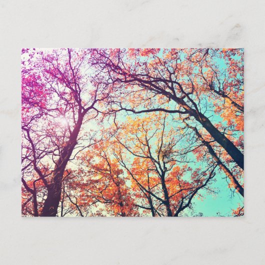 Kleurrijke bomen briefkaart (Voorkant)